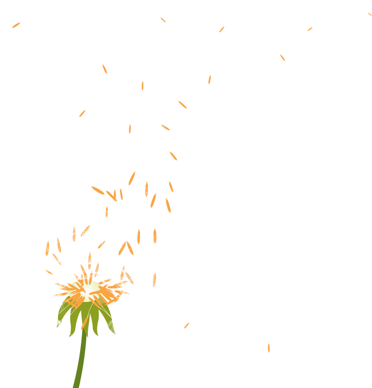 Dandelion flowers